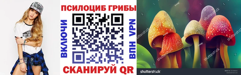 закладки  Сураж  Псилоцибиновые грибы мухоморы 